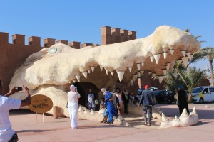 Crocoparc: Les anacondas et les pythons débarquent à Agadir