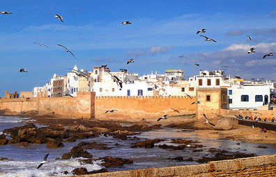 Tour in Essaouira city Morocco