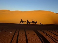 Desert Tours & Camel Treks Morocco